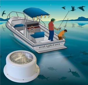 Kıç platform aydınlatma lambası