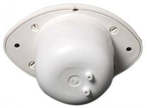 Osculati gömme korna