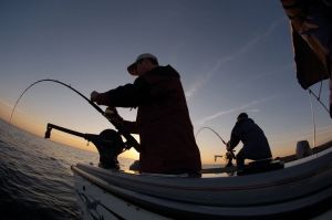 Cannon UNI-TROLL 5